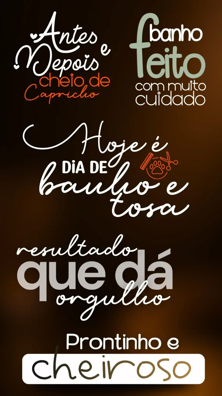 BANHO E TOSA (1)