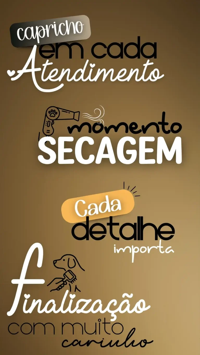 BANHO E TOSA 3 (1)